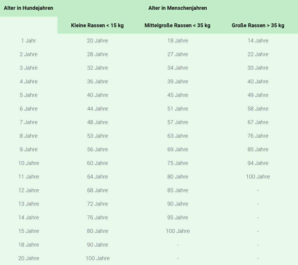 Tabelle Hundealter in Menschenjahren